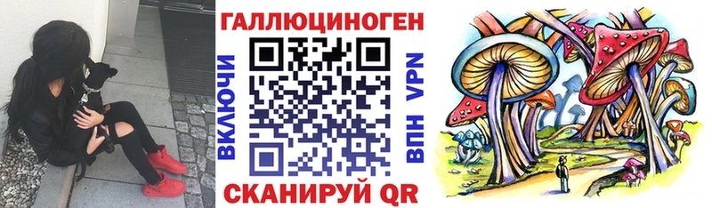 хочу наркоту  это какой сайт  Галлюциногенные грибы Cubensis  Карасук 