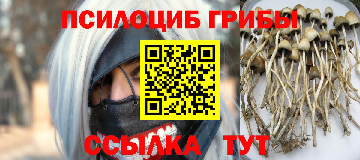 Псилоцибиновые грибы Magic Shrooms  Вход с VPN  Псилоцибиновые грибы мухоморы  Карасук 