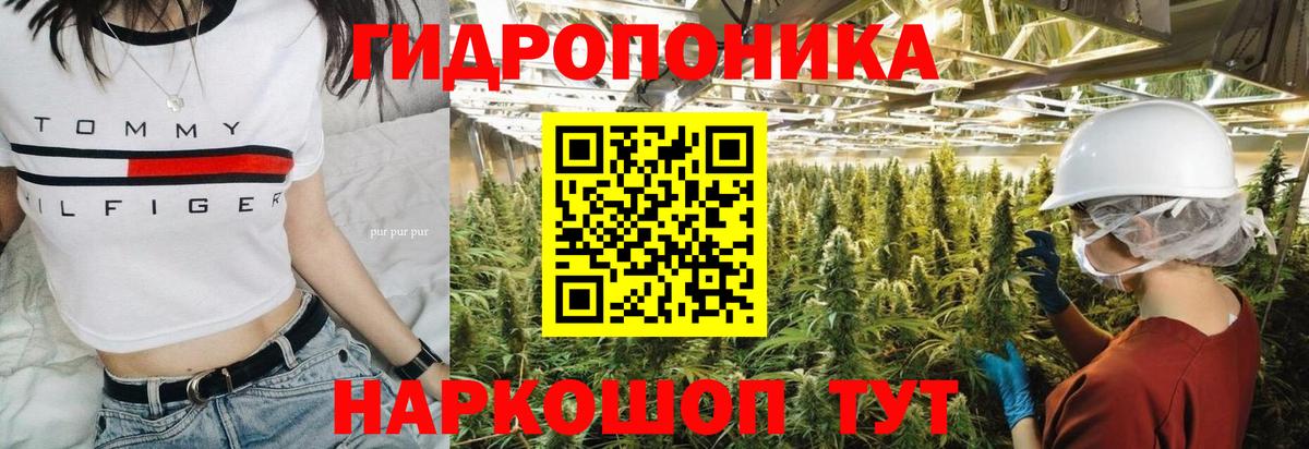 Бошки Шишки планчик Карасук